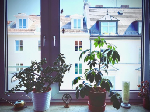 Livingroom w/ a view / Pflanzen im Fenster / München
